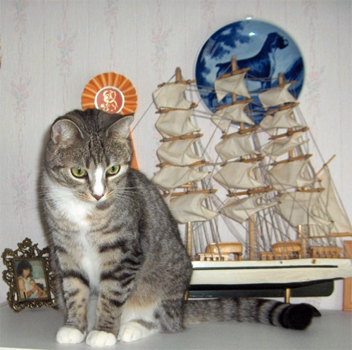 Foto: Snickan 