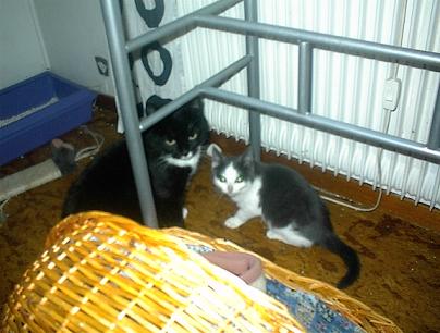 Mamma felicia med lilla Bea Mamma felicia med lilla Bea
