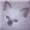 GarpW